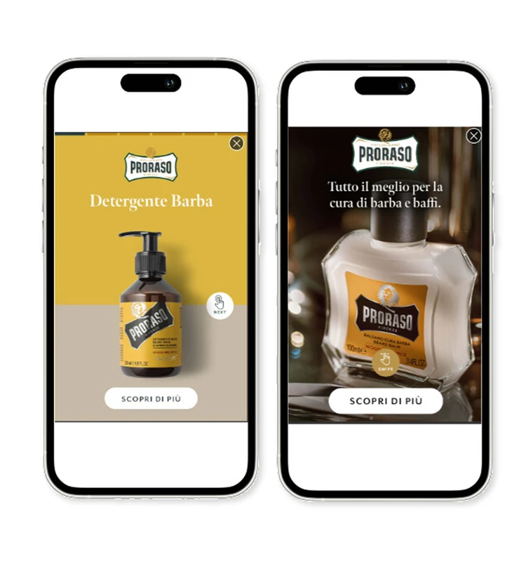 Esempi di campagne Ludovico Martelli