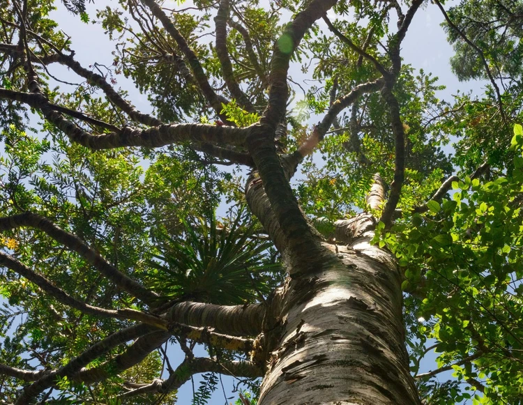 Il potenziale dei tuoi annunci