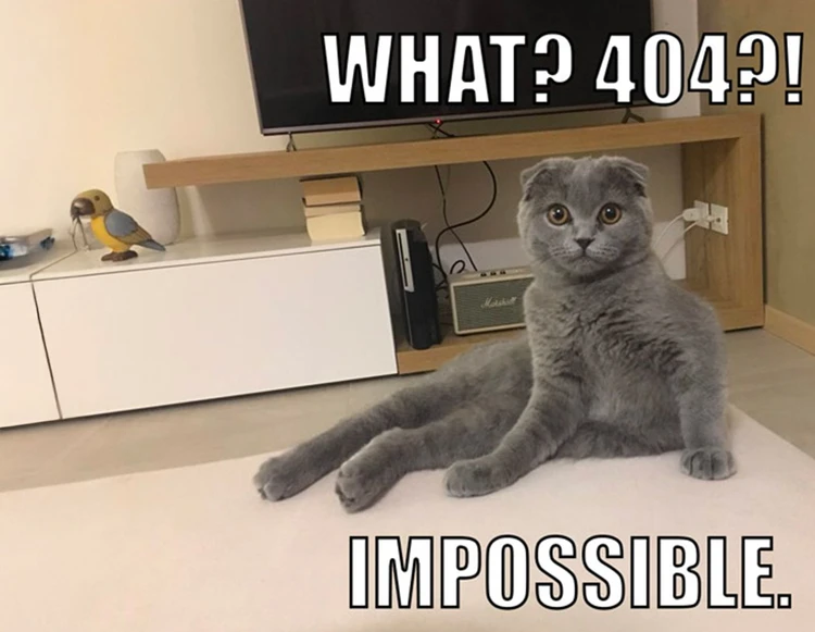 meme 404