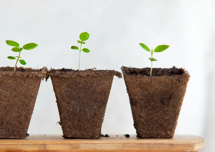 Una relazione da coltivare