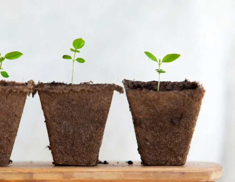 Una relazione da coltivare